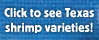 Click here to see Texas shrimp varieties