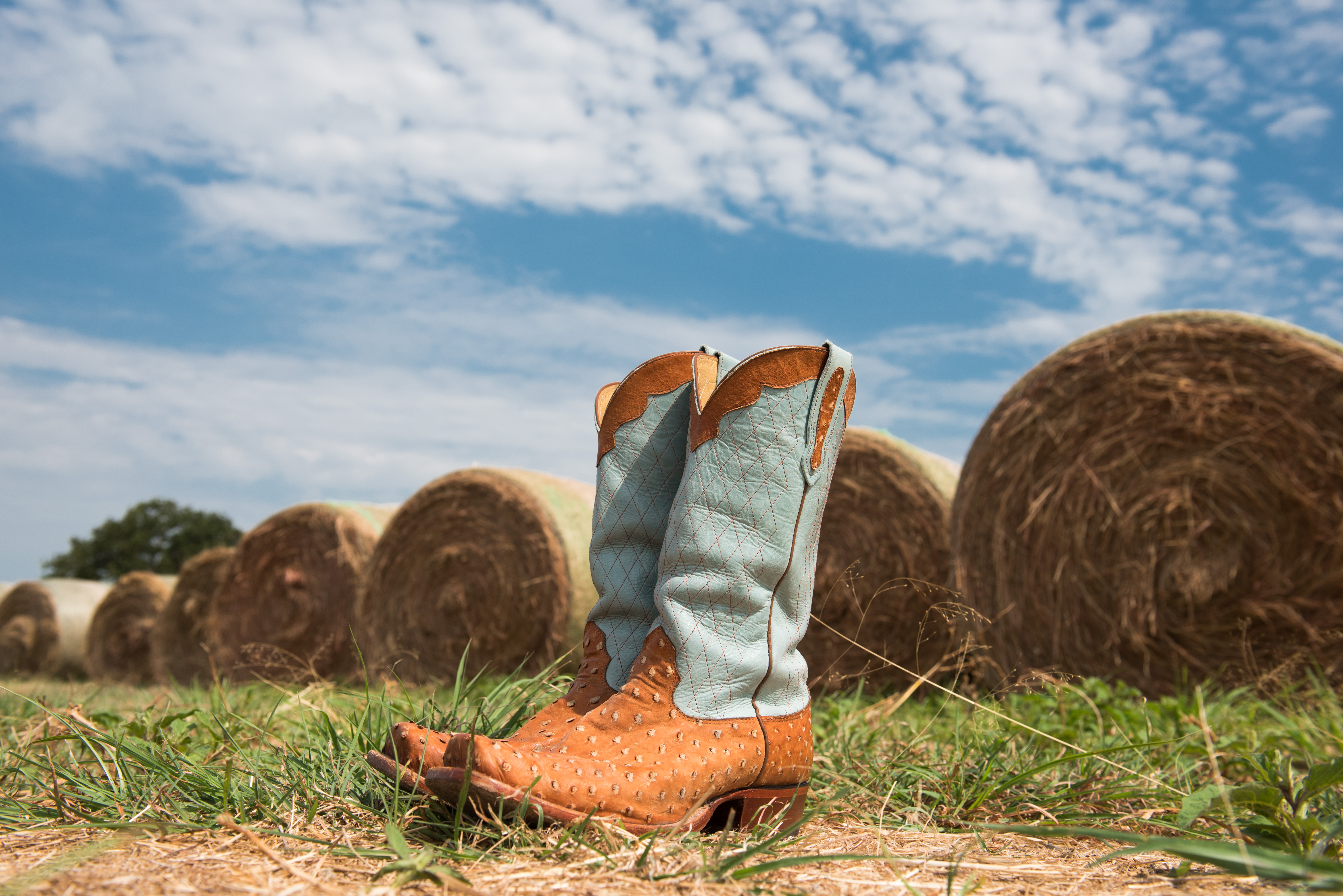 Cavender S Boot Size Chart