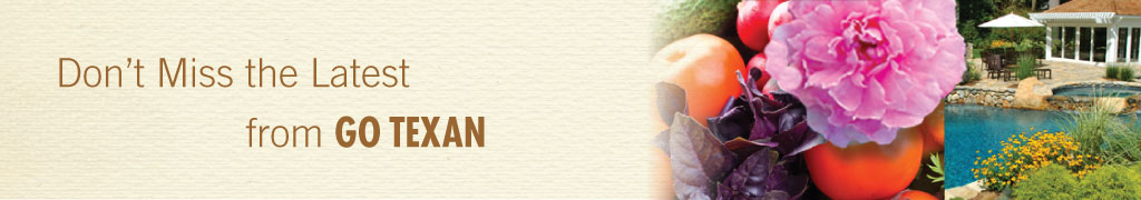 ezine sign-up page banner